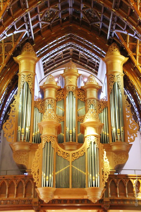 [Flentrop Organ, Holy Name Cathedral, Chicago, IL.]